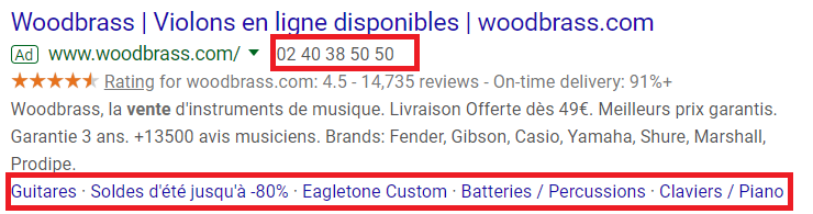 Exemple d'annonces Google pour Woodbrass